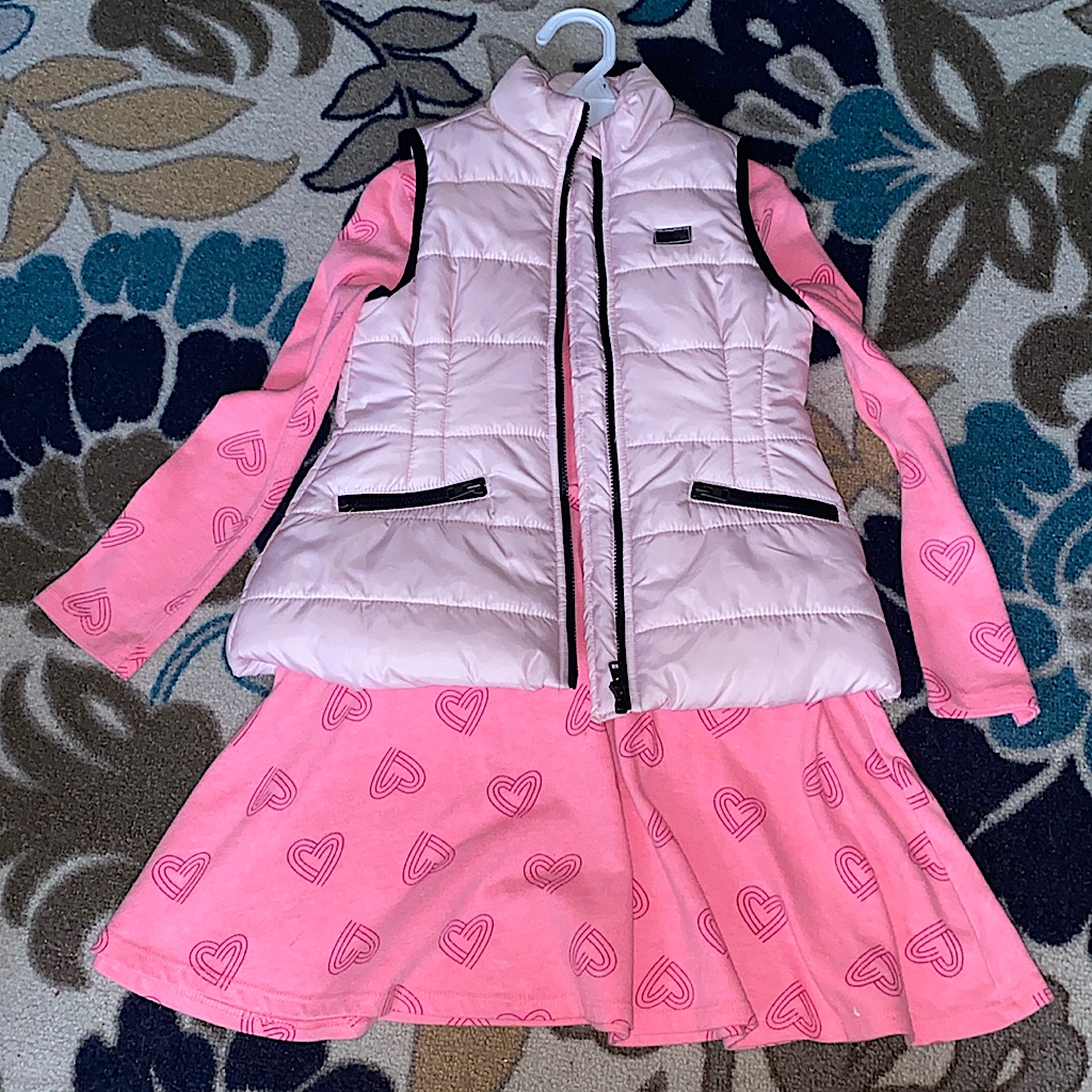 Bundled This Cute Used Pink Dress With Hearts And Calvin Klein Puffer Vest .